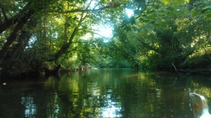 newton-abbot-view-from-water-2