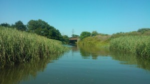 newton-abbot-view-from-water-3