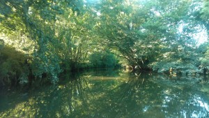 newton-abbot-view-from-water-4